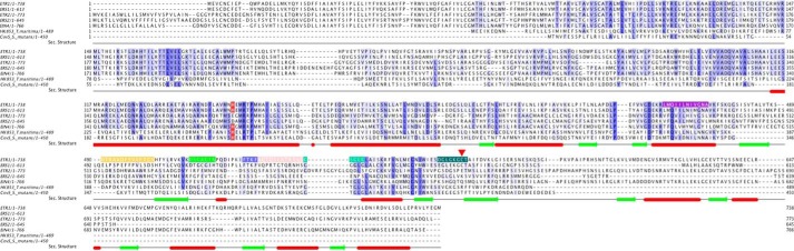 FIGURE 4.