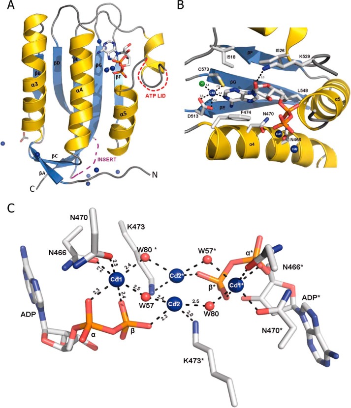 FIGURE 3.