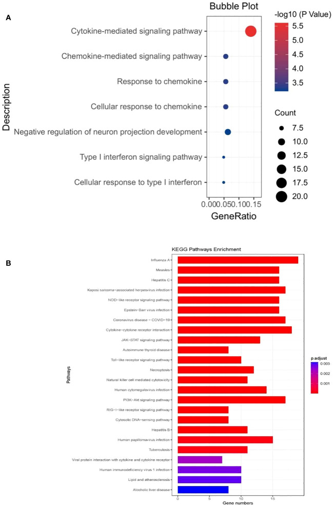 Figure 4