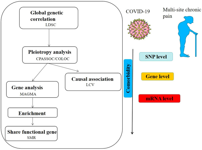 Figure 1