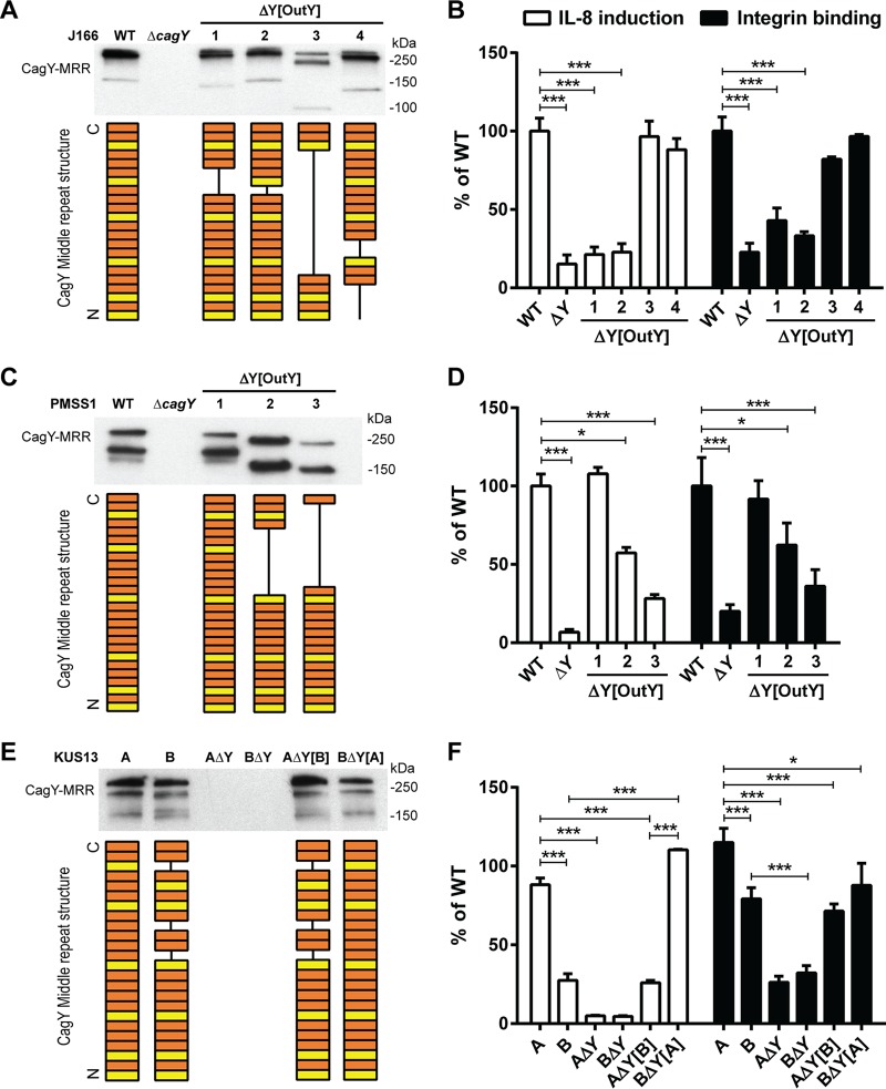 FIG 6 