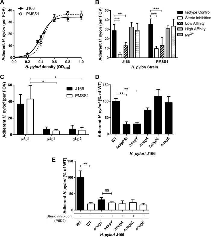 FIG 2 