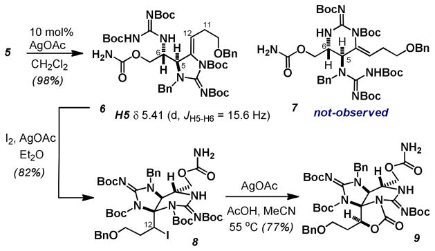 Scheme 2