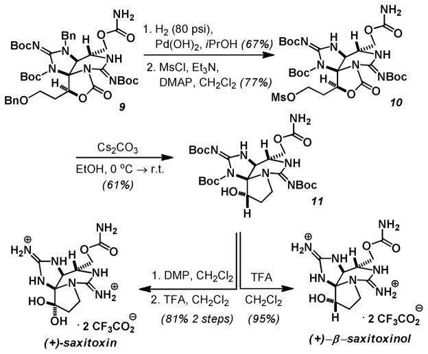 Scheme 4