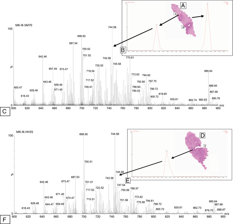 Fig. 2.