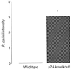 FIG. 1