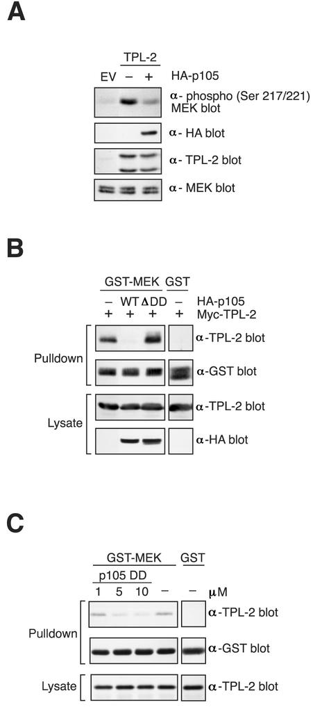 FIG. 9.