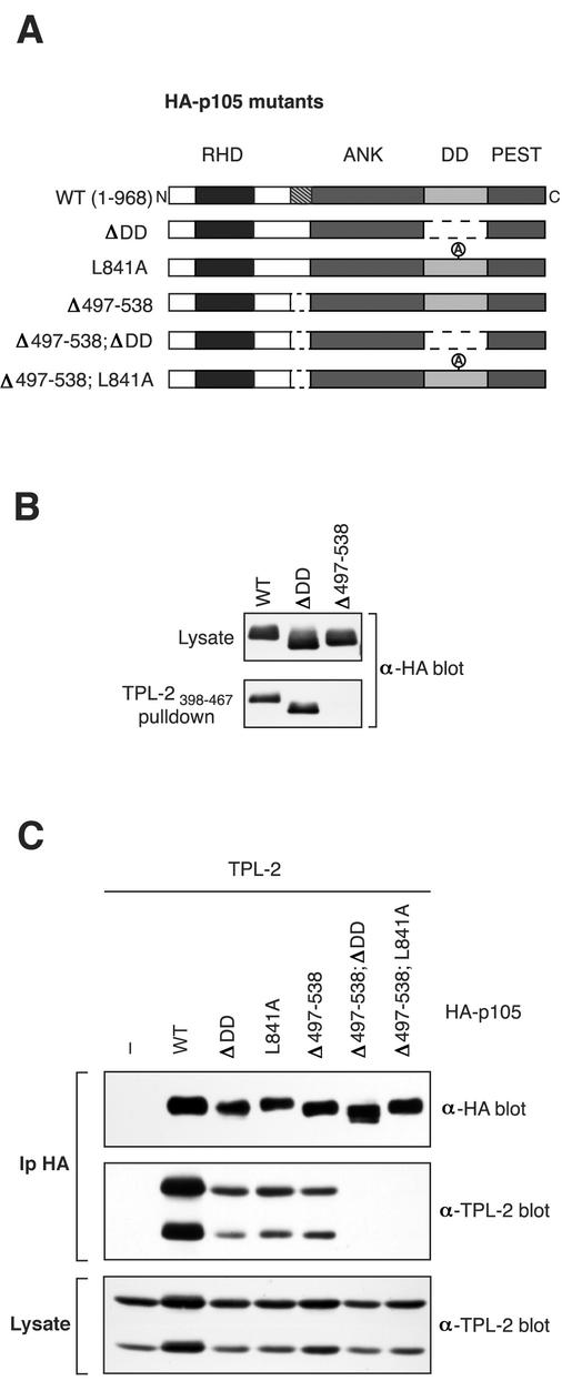 FIG. 5.