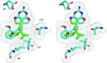 Figure 4