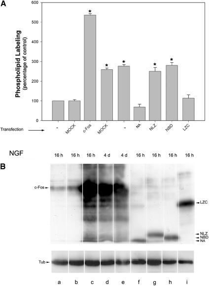 Figure 11.