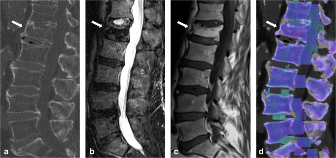 Fig. 6