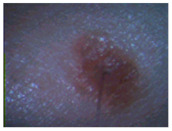 graphic file with name sensors-22-01123-i002.jpg