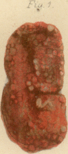 458-1