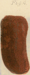 458-1