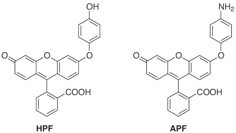 Fig. 17