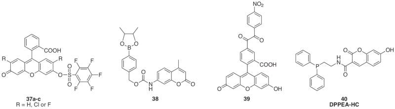 Fig. 18