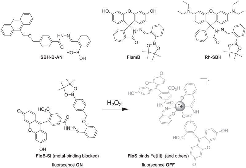 Fig. 24