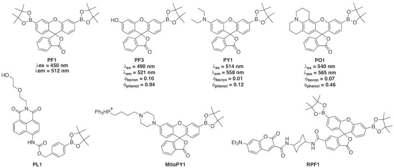 Fig. 19