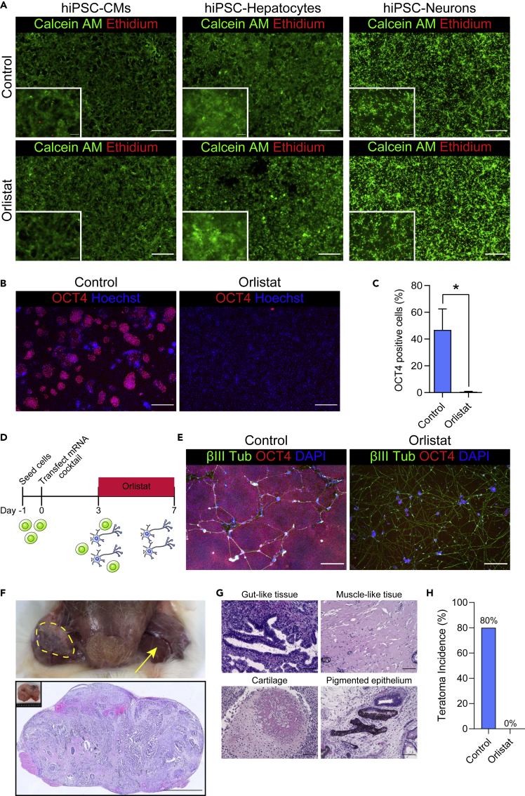 Figure 4