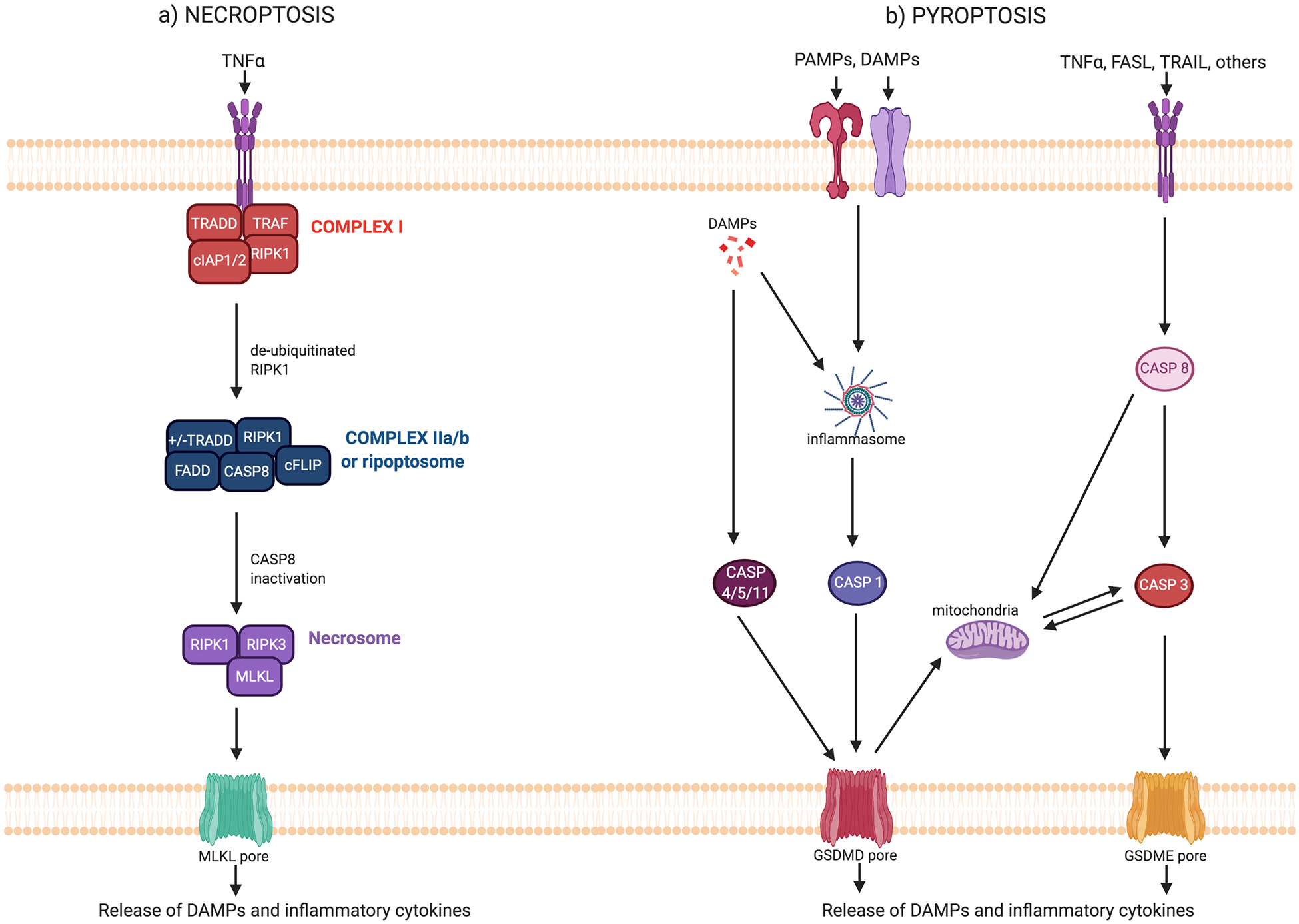 Figure 1: