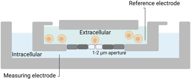 FIGURE 2