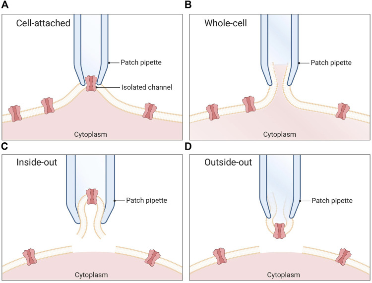 FIGURE 1