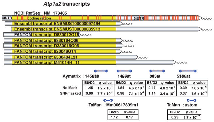 Figure 17