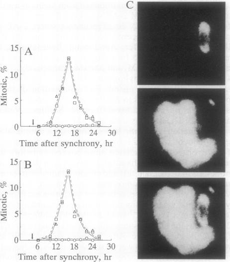 graphic file with name pnas01080-0286-a.jpg