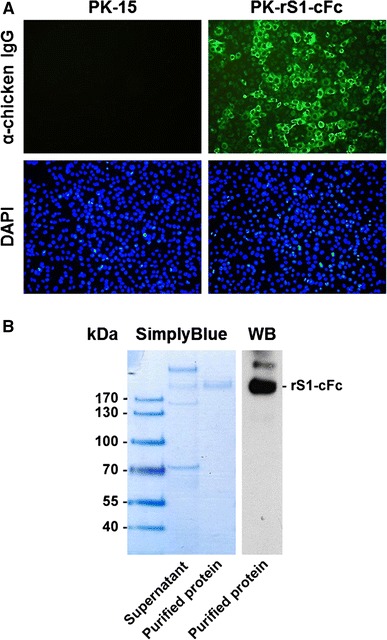 Fig. 1