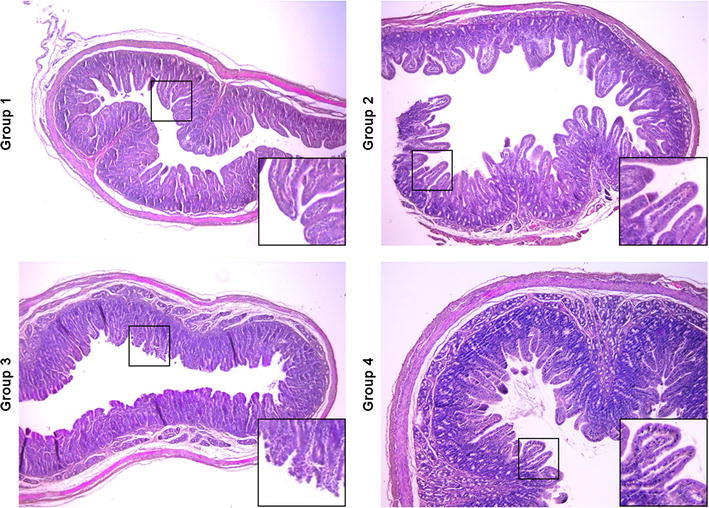 Fig. 5