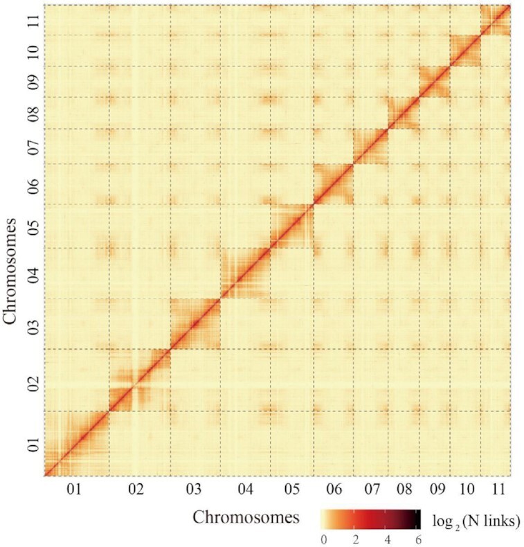 Figure 2: