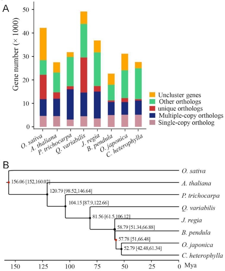 Figure 3: