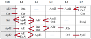 Figure 16