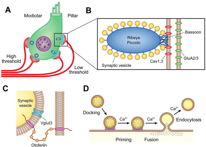 Figure 15