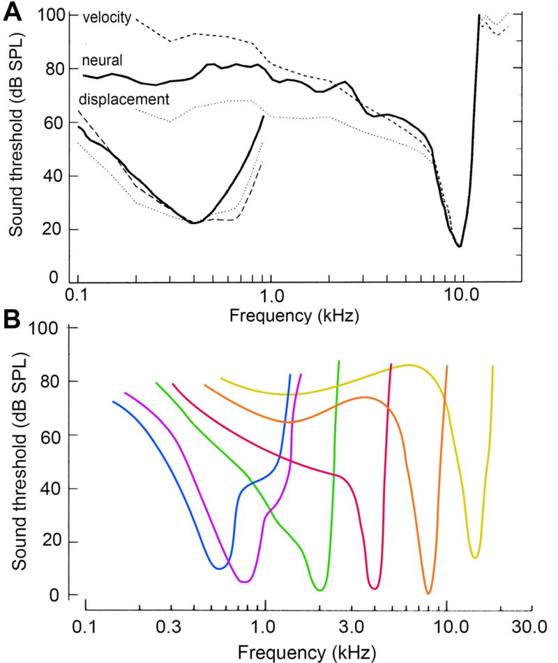 Figure 11