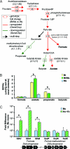 Fig. 3.