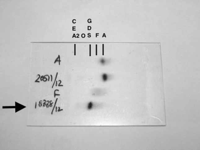 Fig. 4