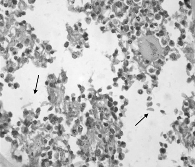 Fig. 2