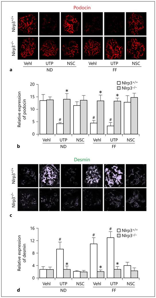 Fig. 8.