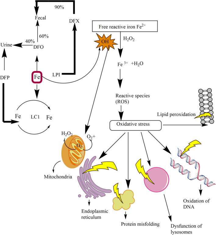 FIGURE 4