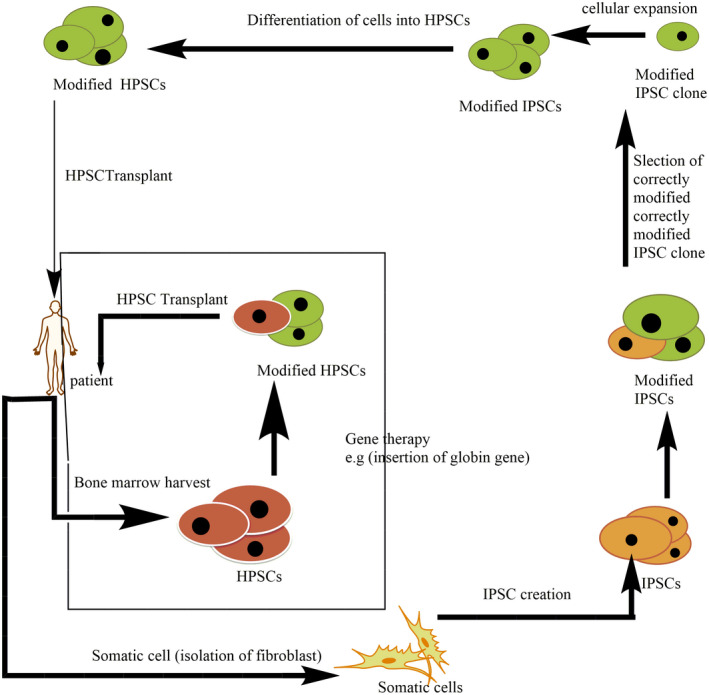 FIGURE 5