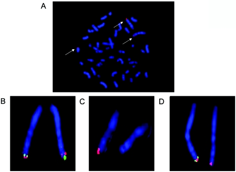 Figure  5. 