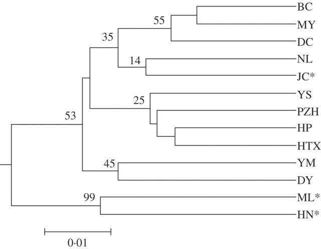 Fig. 4.