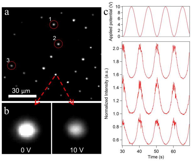 Figure 10