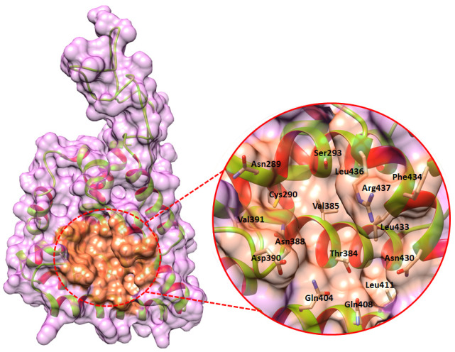 Figure 4