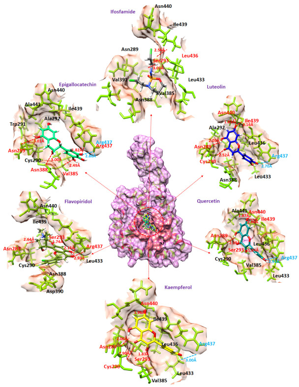 Figure 6