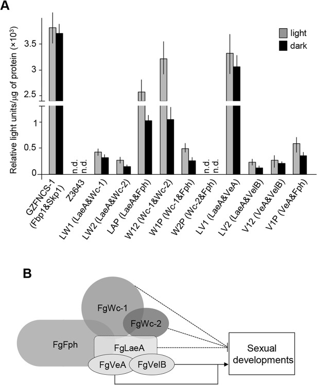 Fig 5