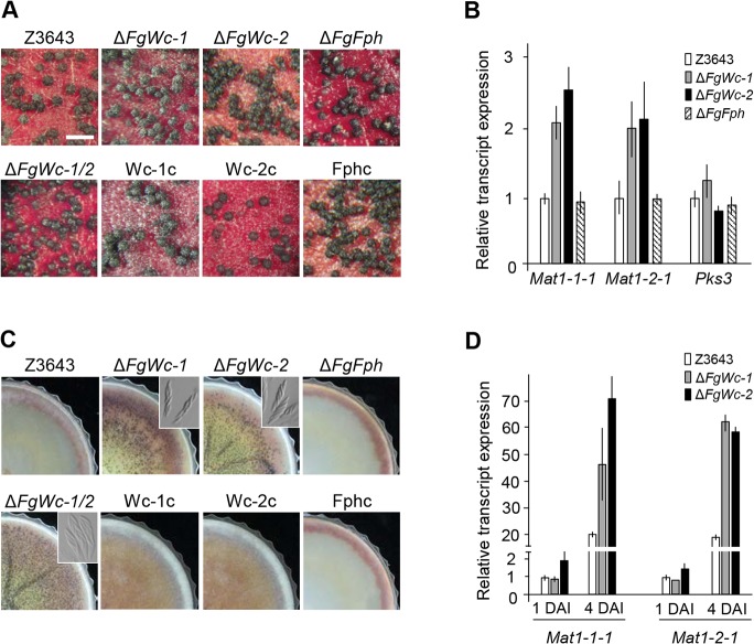 Fig 3