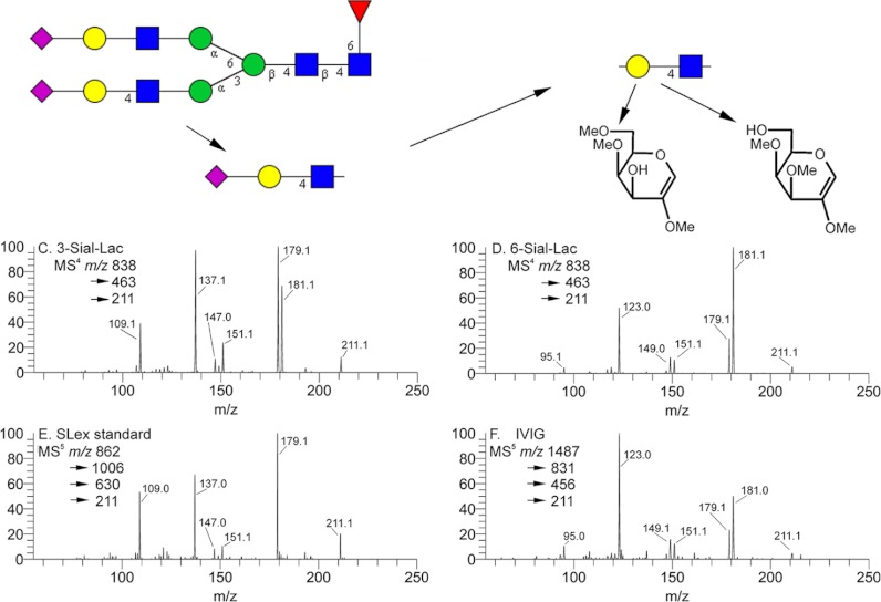 Fig. 6.