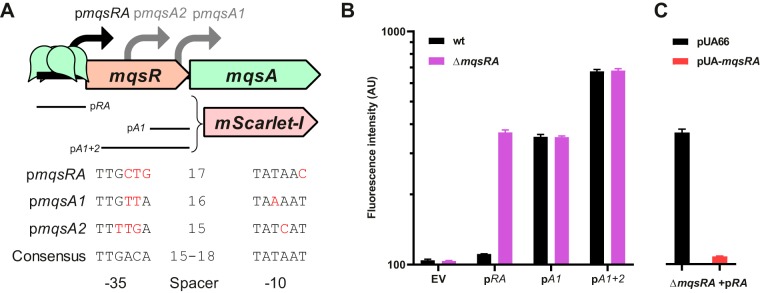 FIG 1